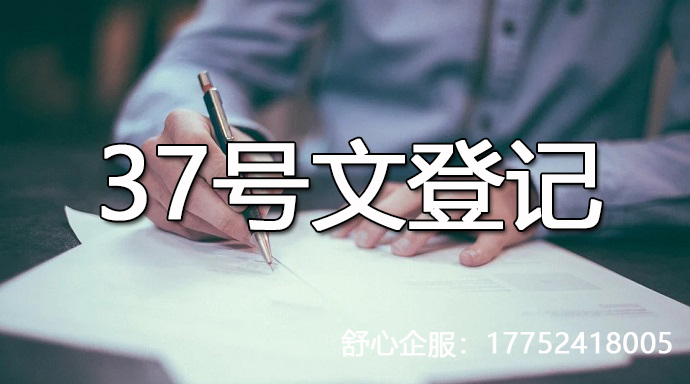 37號文登記